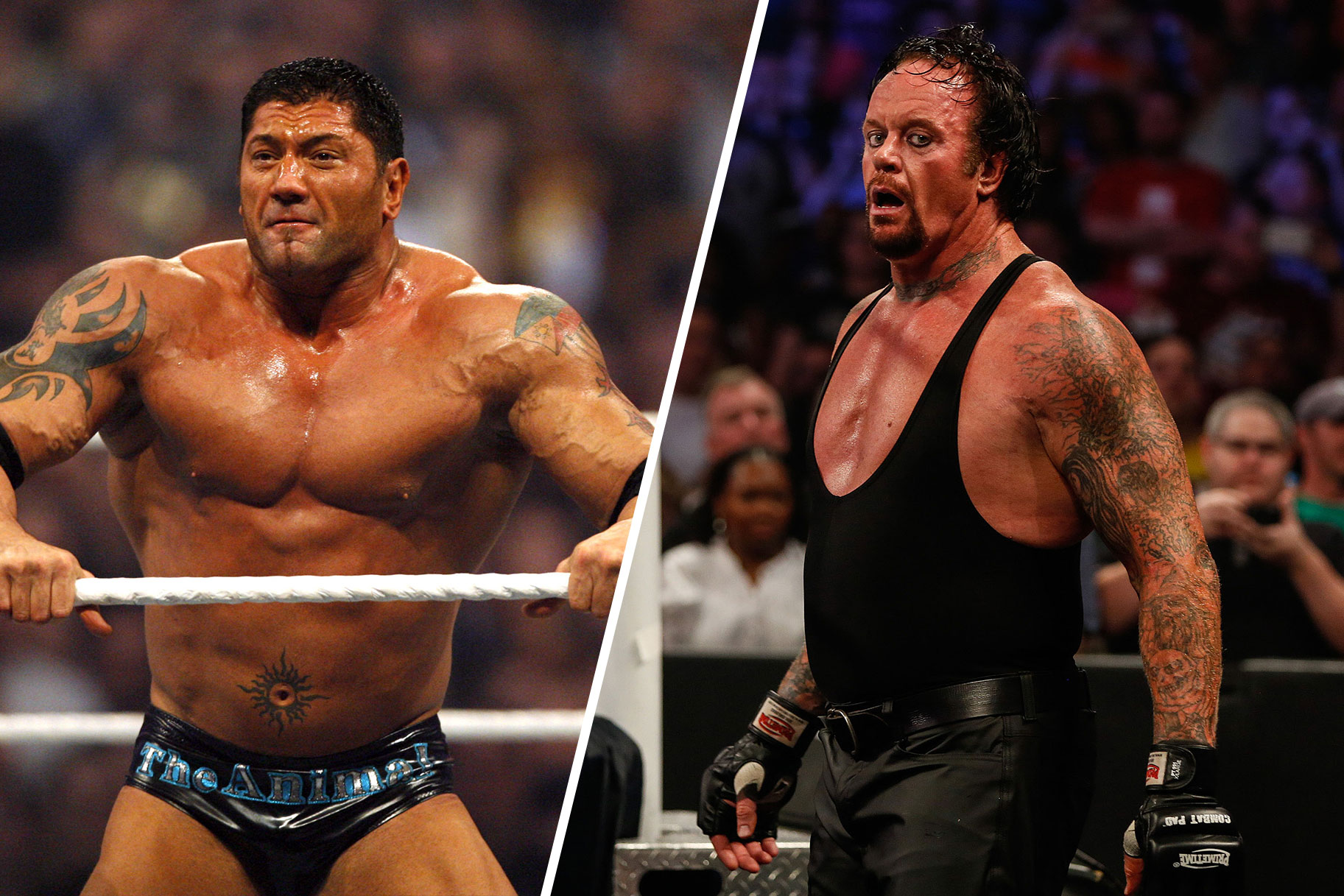 Bautista And Undertaker Split