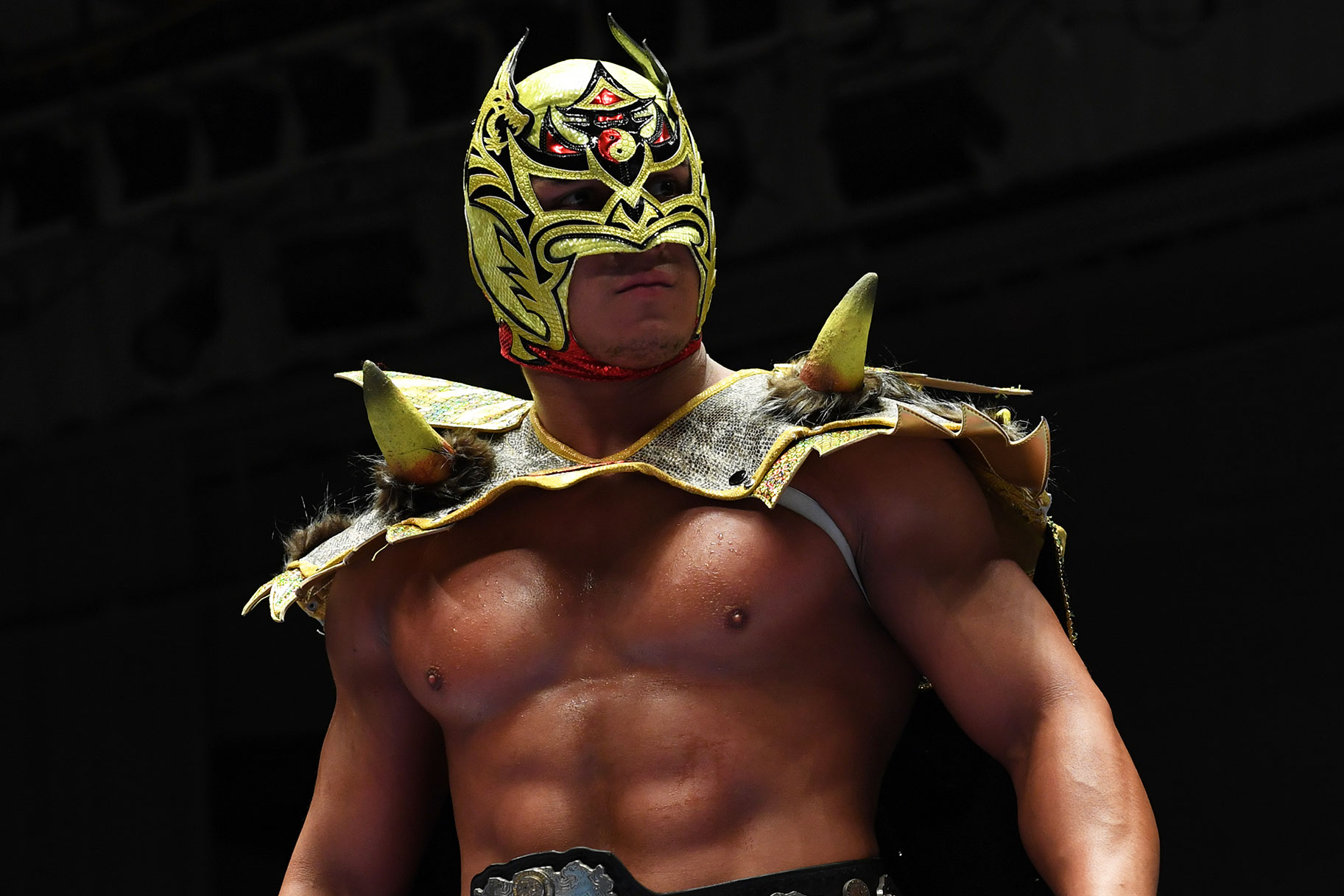 International Lucha Star Dragon Lee Contract Signs With WWE | USA Insider