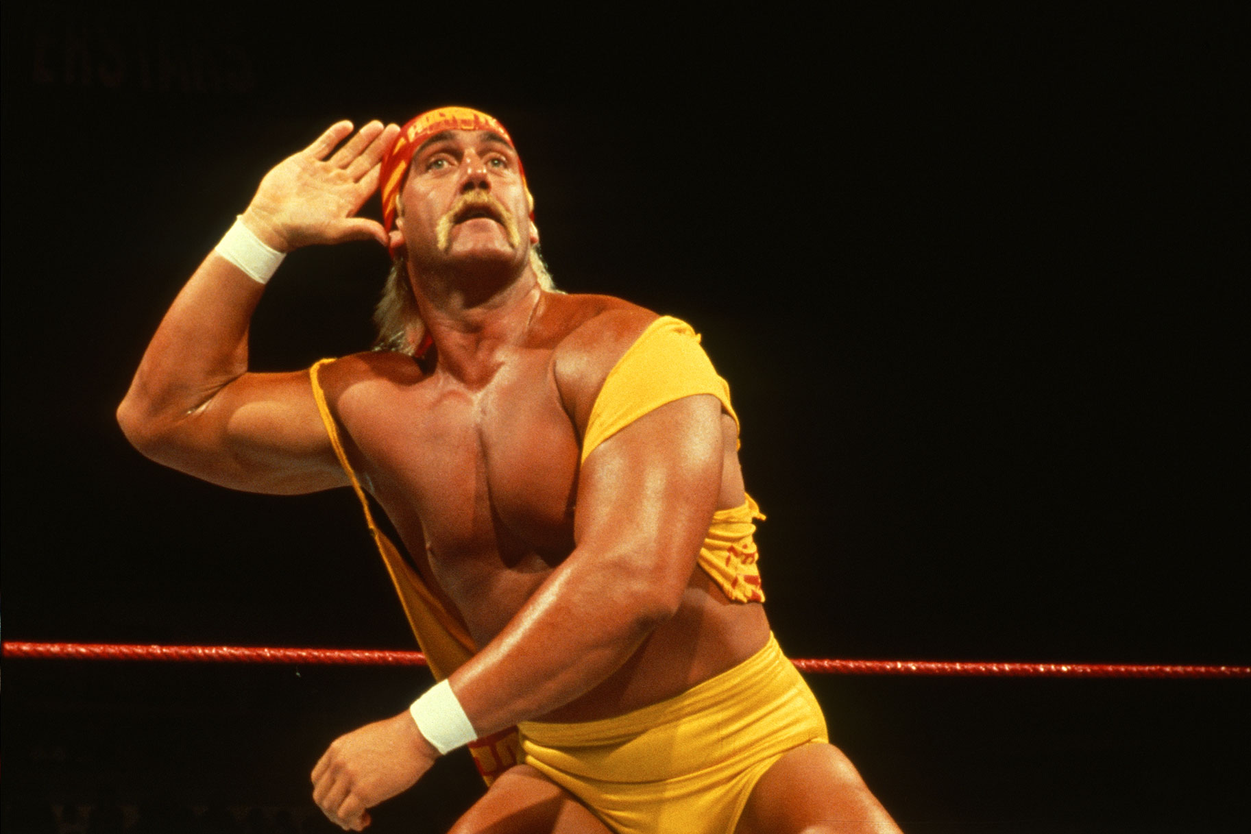 Hulk Hogan s Best WWE Moments In The Ring