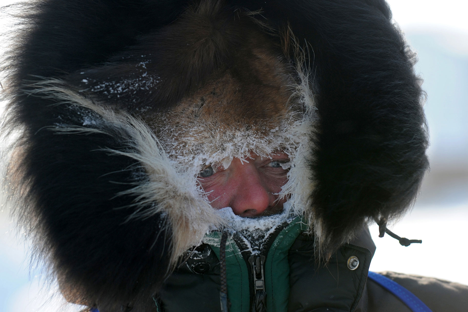 Dallas Seavey arrives at the Unalakleet, Alaska checkpoint on Sunday, March 14, 2010, during the 2010 Iditarod Sled Dog Race