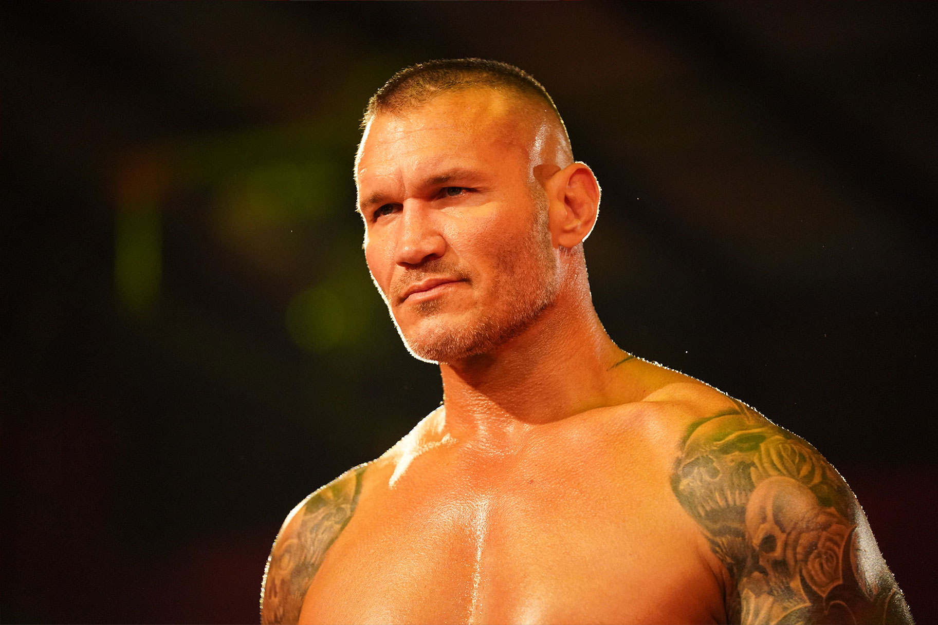 Triple H Vs Randy Orton In Ortons House Triple H Vs Randy Orton In Ortons House