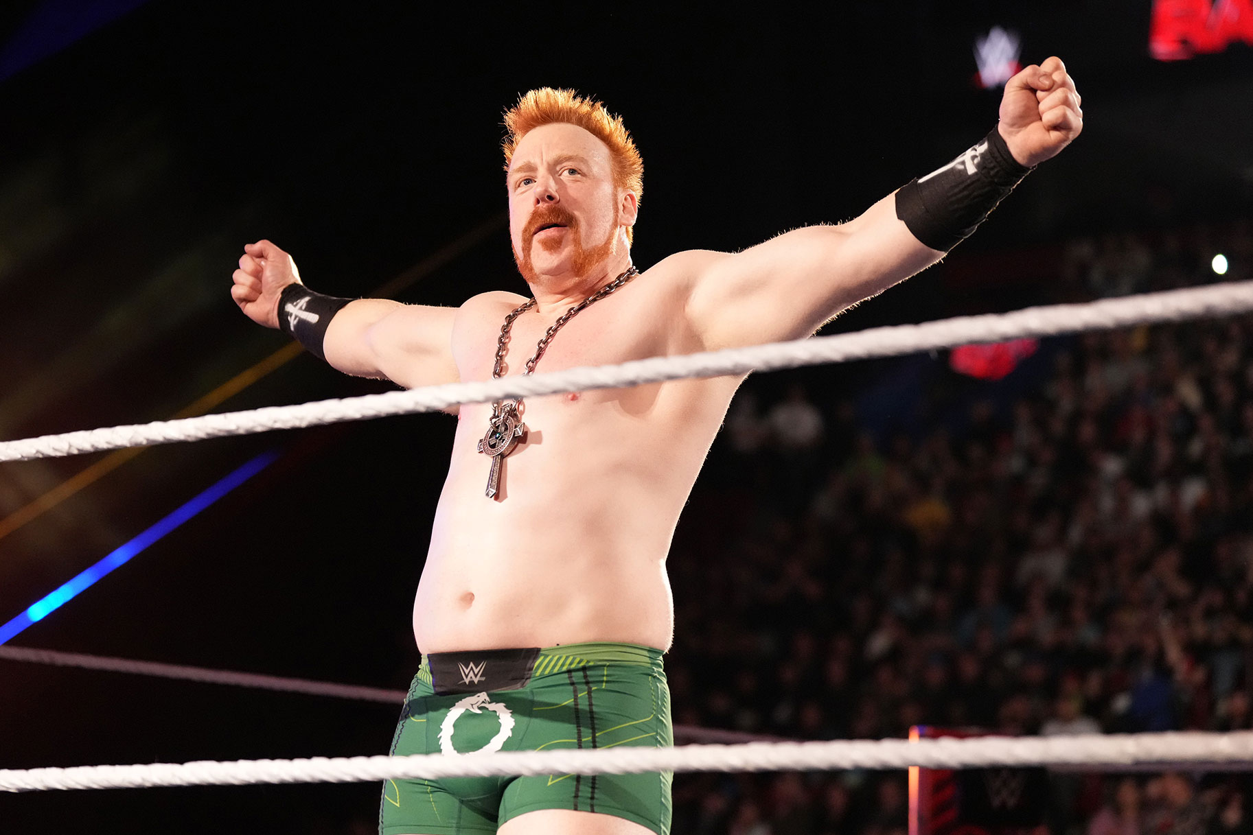 Sheamus Wwe 2020 Sheamus Wwe 2020