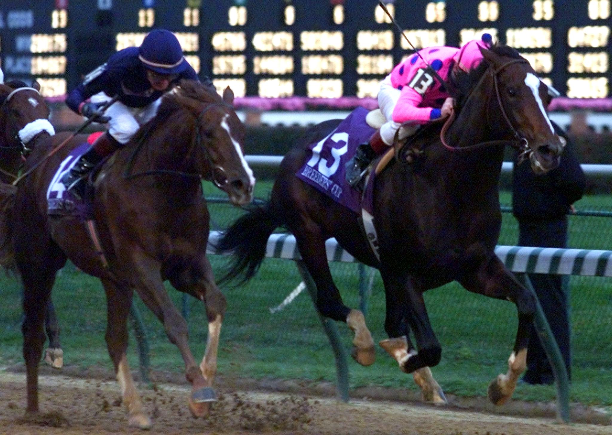 Breeders' Cup Champion Tiznow 2000