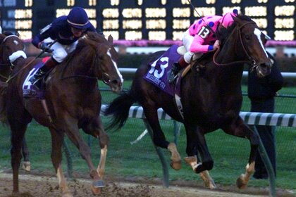 Breeders' Cup Champion Tiznow 2000