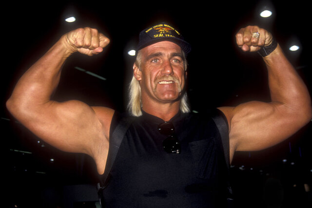 Wwe Hulk Hogan
