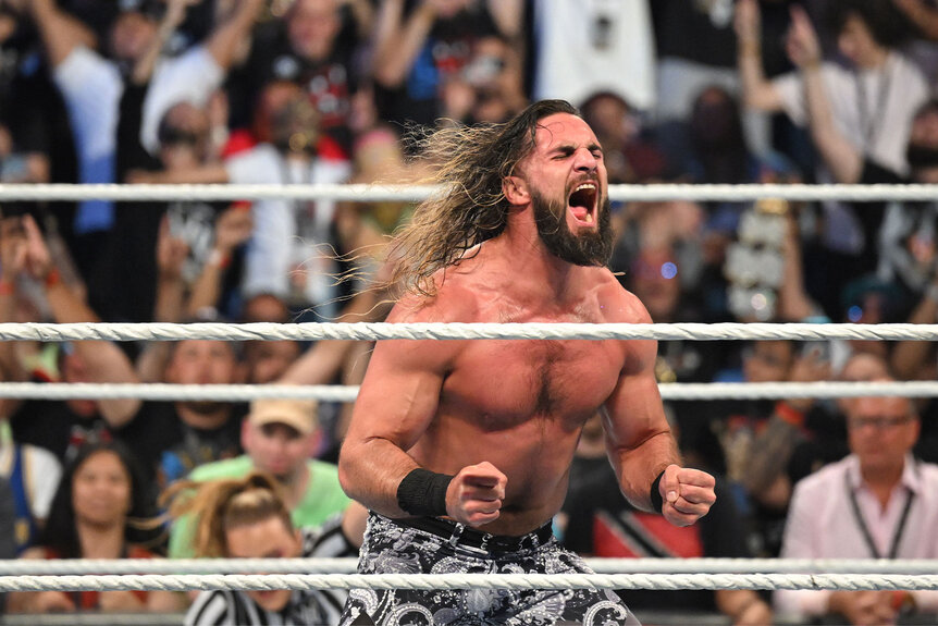 Seth Rollins of The Shield  Seth freakin rollins, Seth rollins, Wwe seth  rollins