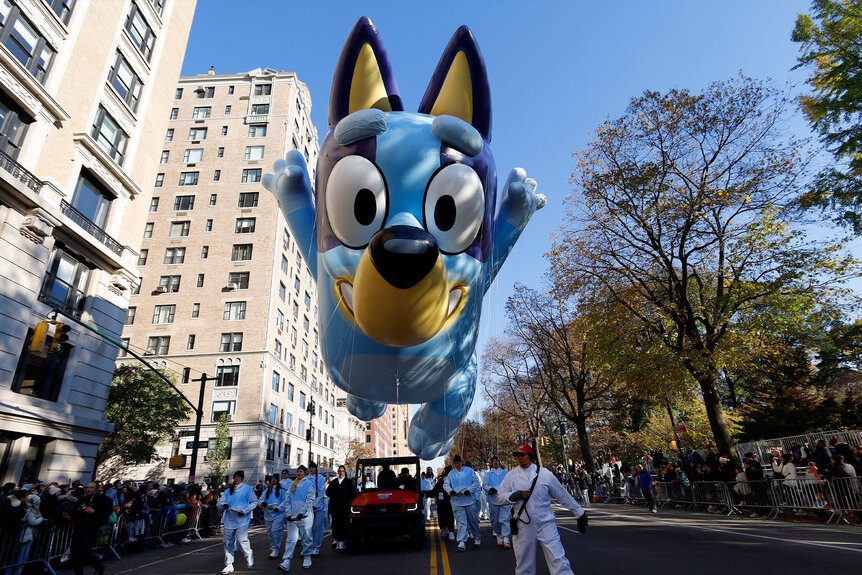 The Bluey Macy's Thanksgiving Day Parade balloon being led down the street