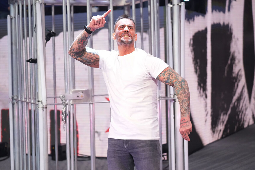 CM Punk appears during WWE Survivor Series